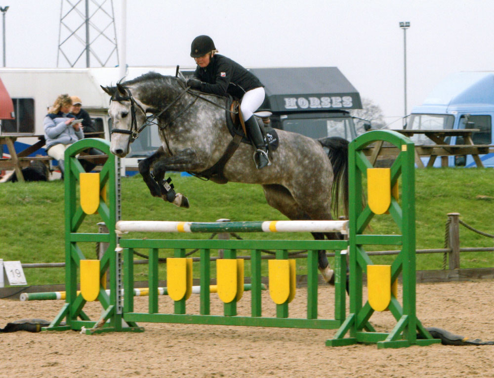 Danish Warmblood